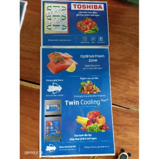 Tem dán tủ lạnh hãng Toshiba size to nhé