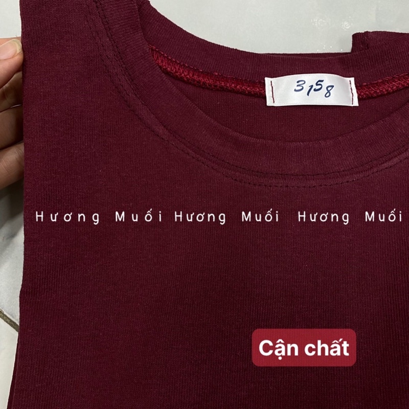 Áo thun thêu ngựa nhỏ - thun mặt nhung