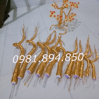 Thân cành vàng lá ngọc cuốn keo từ 15-50cm
