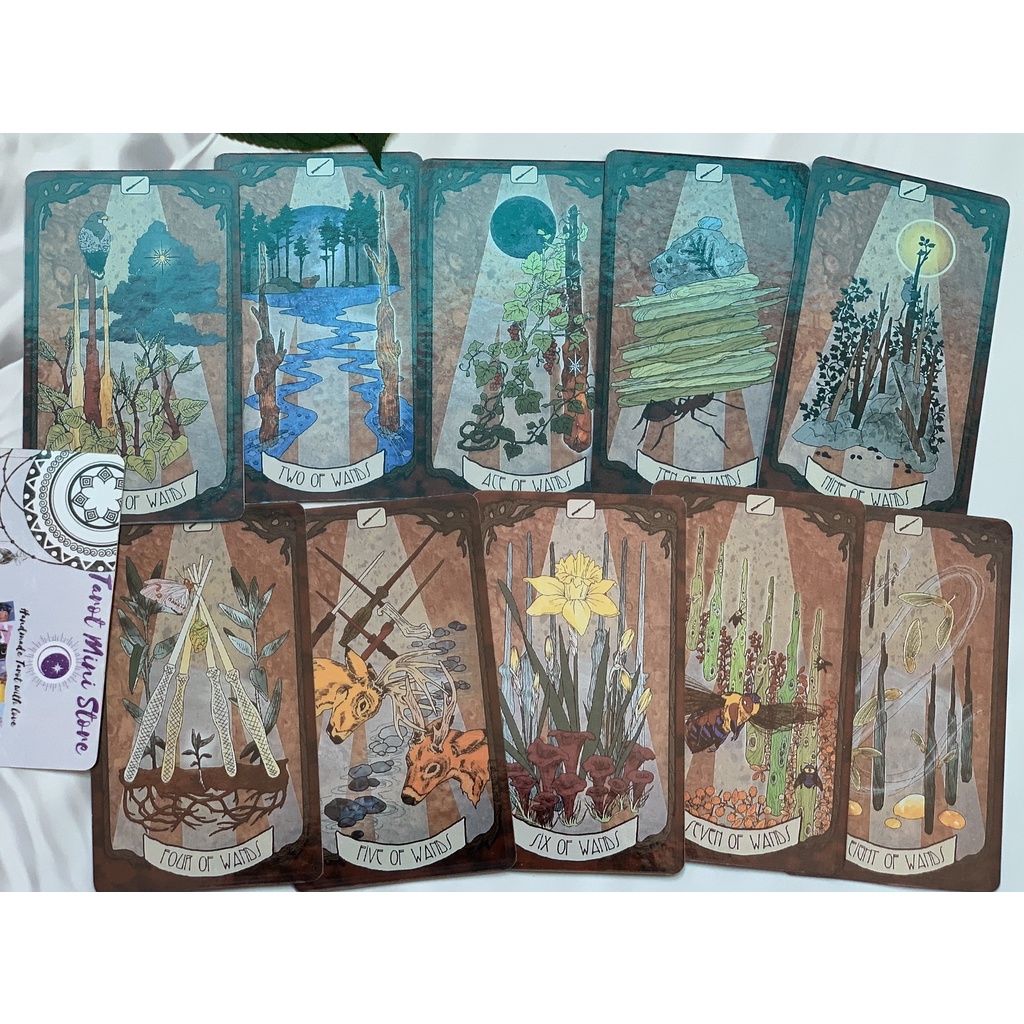 Bộ bài The Forager's Daughter Tarot 78 lá phiên bản đầu tiên size gốc