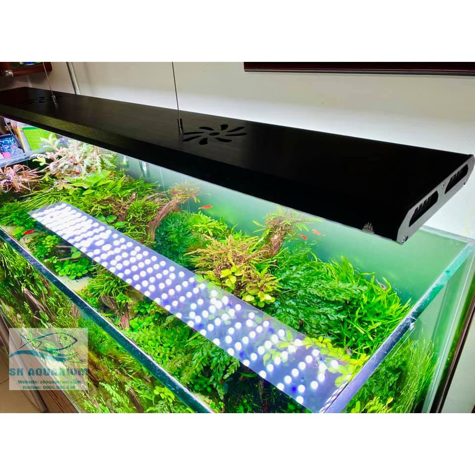 Đèn bể cá thủy sinh dạng máng cao cấp WRGB Week P Series P600, P900, P1200 aquahadong