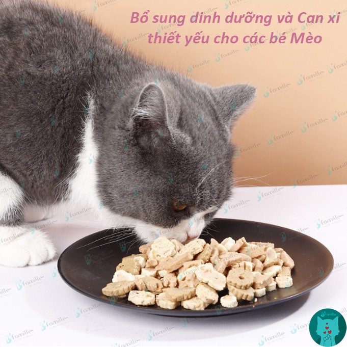 [CAT ONLY]Treat Thưởng Cho Mèo JFamille, Snack Hải Sản Nướng, Kích Thích Vị Giác, Hỗ Trợ Tiêu Hóa Tối Ưu. Gói 25gr. JF44