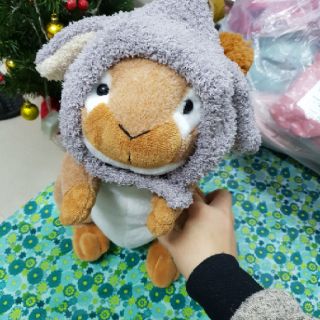 Mũ len tai cừu