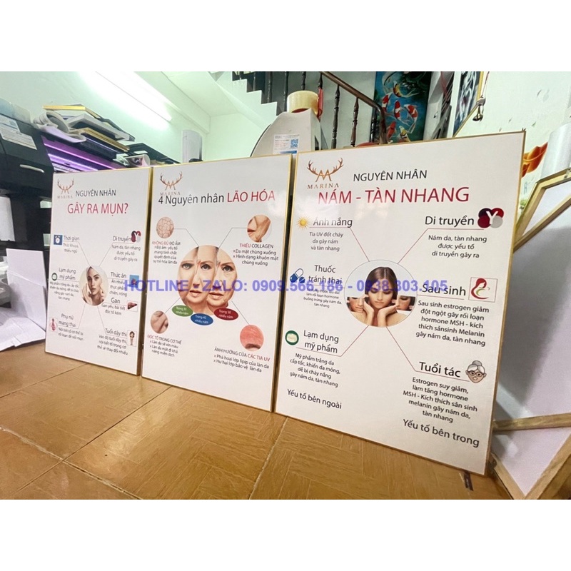 KHUNG TRANH SPA CHĂM SÓC DA SANG TRỌNG HIỆN ĐẠI CHO SPA- THẨM MỸ VIỆN