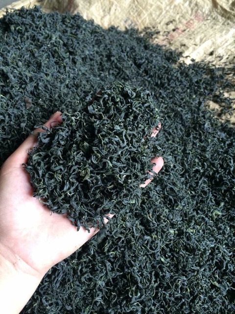 Trà búp thái nguyên loại 1 tôm 2 lá 500g - Chè Thái Nguyên