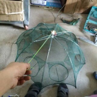 Lưới đánh cá Bát Quái