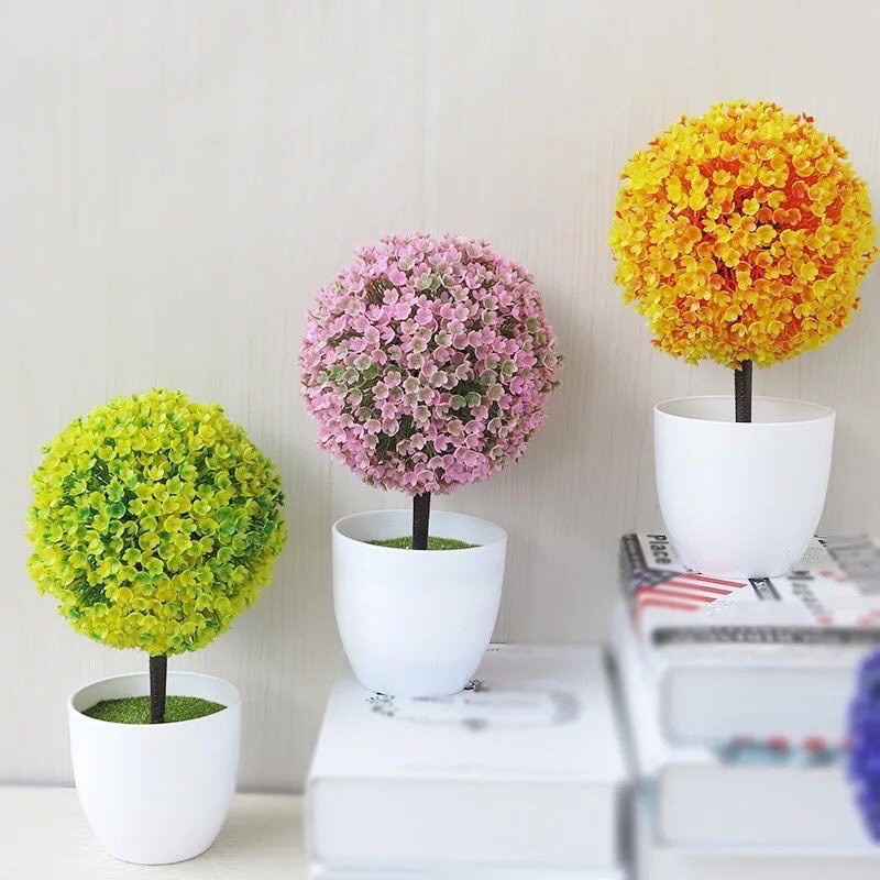 Chậu hoa cẩm tú cầu để bàn, để trang trí kệ treo tường .