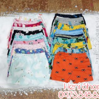 Sỉ bo hướng dương