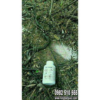 ( đại hạ giá ) Thuốc Dụ Rắn 350g - Thailan siêu nhậy ( giá rẻ vô địch )