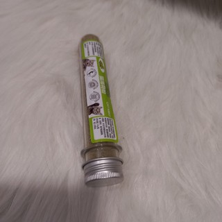 Cỏ mèo - Cỏ mèo bạc hà catnip