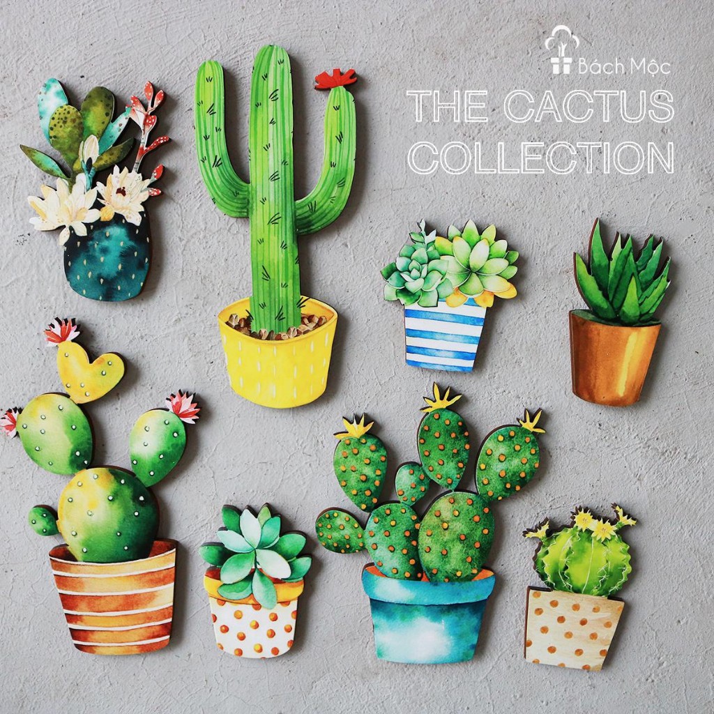 Set Decor Fomex Xương Rồng BÁCH MỘC Dán Tường Trang Trí Nhà Cửa