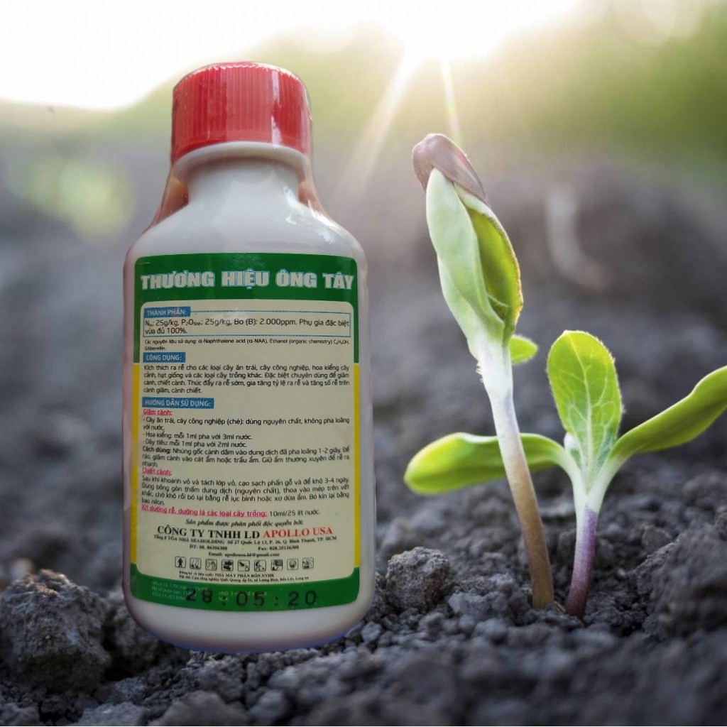 Ra Rễ Cực Mạnh, Phân Bón Siêu Kích Ra Rễ Hiệu Ông Tây
