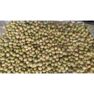 1Kg Đậu tương ( Đậu Nành) quê 100%