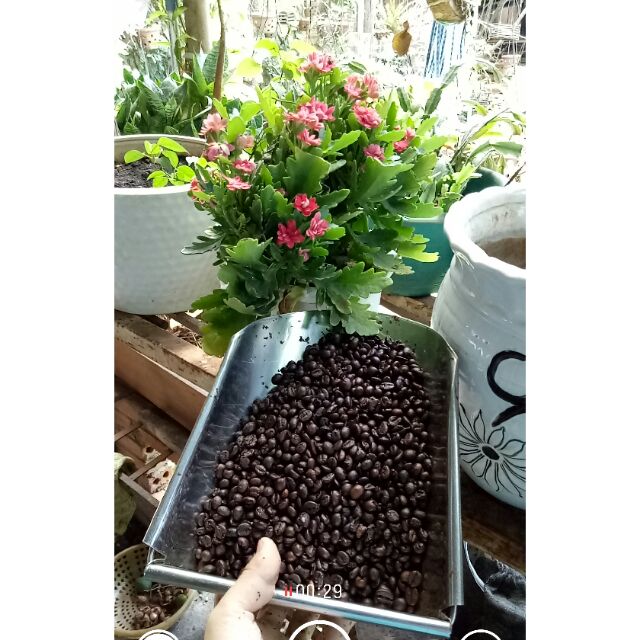 [ FREESHIP TỪ 99K ] Cà phê nguyên chất không pha trộn | BigBuy360 - bigbuy360.vn