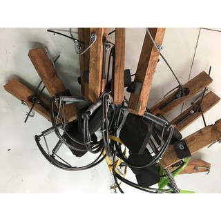 Combo 5 bẫy diệt chuột bán nguyệt không cần mồi