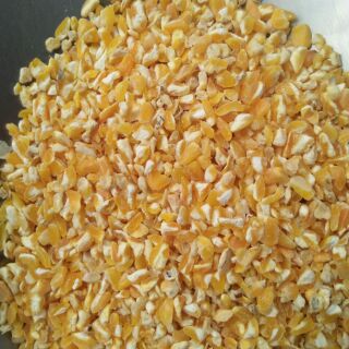 1kg bắp xay, thức ăn cho chim, gà, vịt