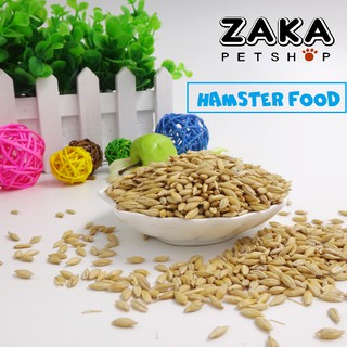 Hạt đại mạch 200g cho hamster