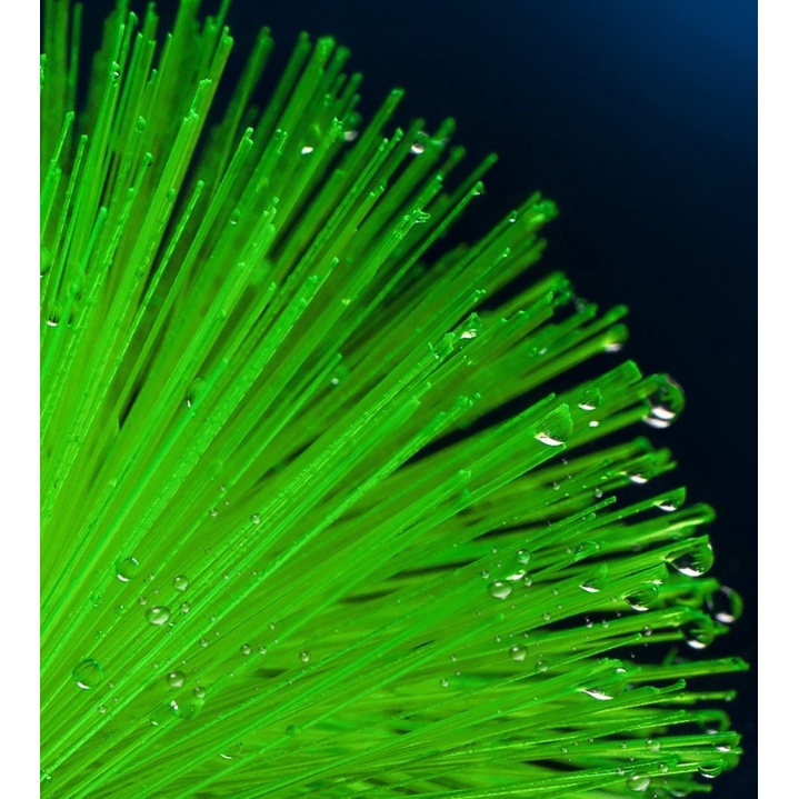 Chổi lọc 40cm - vật liệu lọc hồ cá cảnh, cá koi.