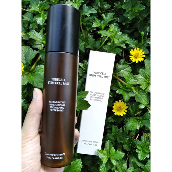 Xịt Dưỡng Tế Bào Gốc Tái Tạo Da YobeCell | BigBuy360 - bigbuy360.vn