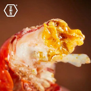 TÔM HÙM ĐẤT RIM🦐