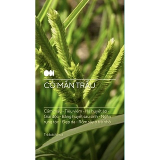 Cỏ mần trầu khô 100gram