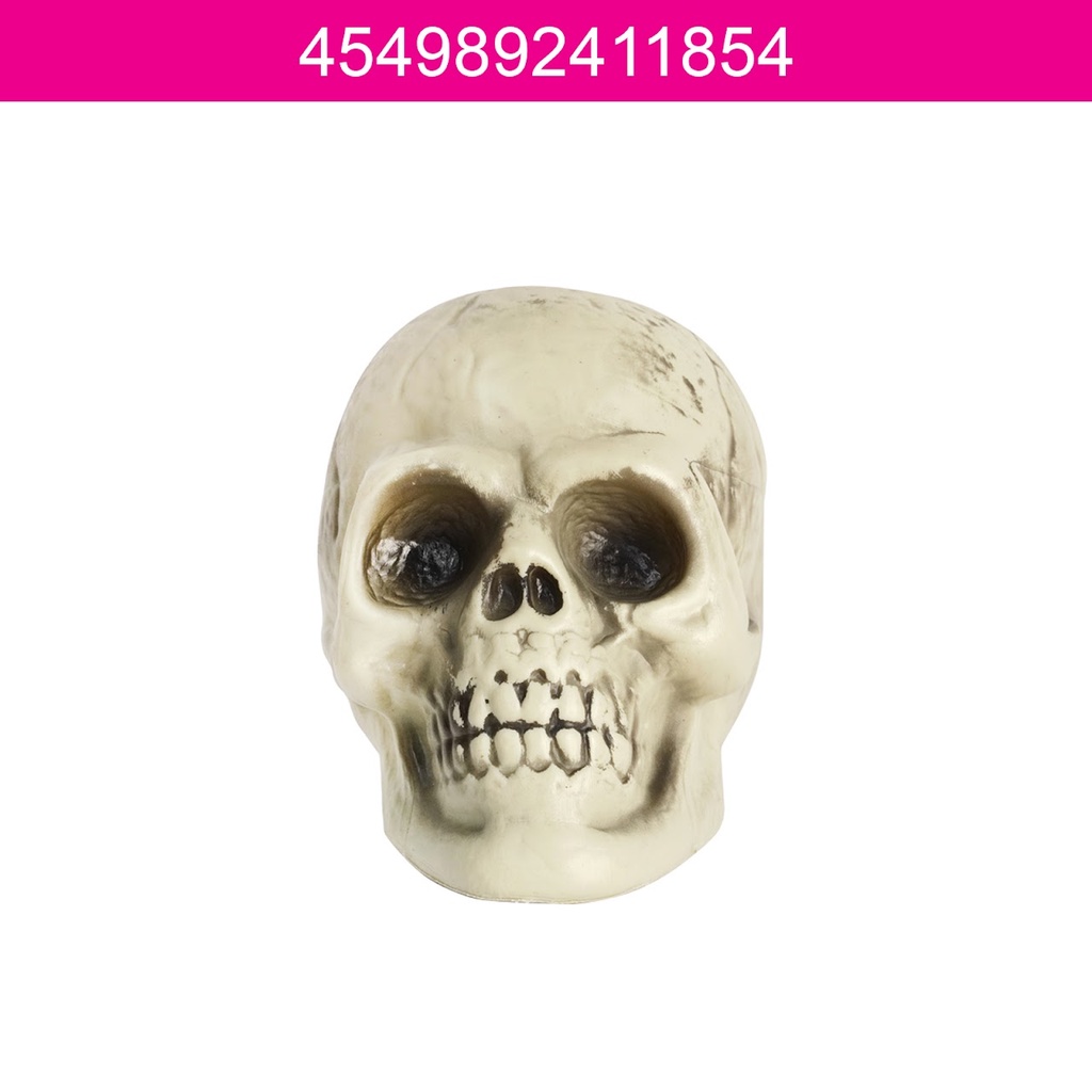 Daiso Halloween Đạo cụ hoá trang hình hộp sọ trắng