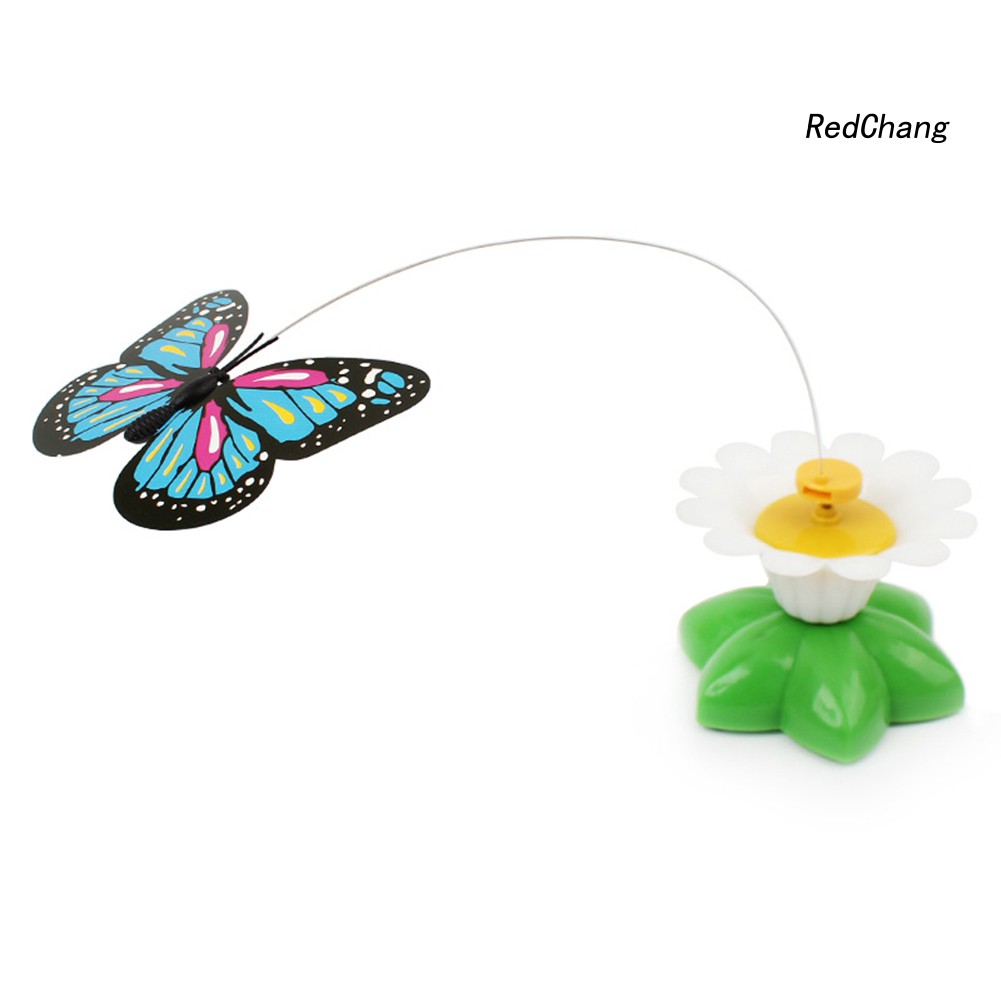 Đồ Chơi Tương Tác Thú Vị Cho Mèo