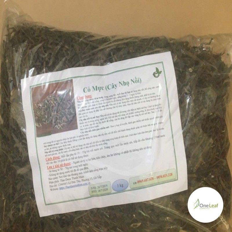 Cây Mực  tươi giống Khô 1kg Loại 01