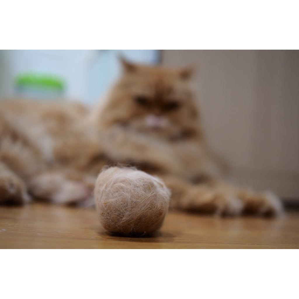 Viên ăn Hairball of Pet Naturals - Thải Búi Lông (xuất xứ Mỹ)