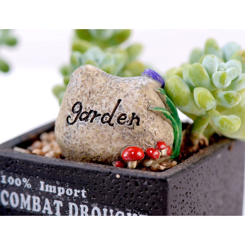 Tiểu cảnh hòn non bộ chào đón ❤️ FREESHIP ❤️ Well come home, wellcome my garden