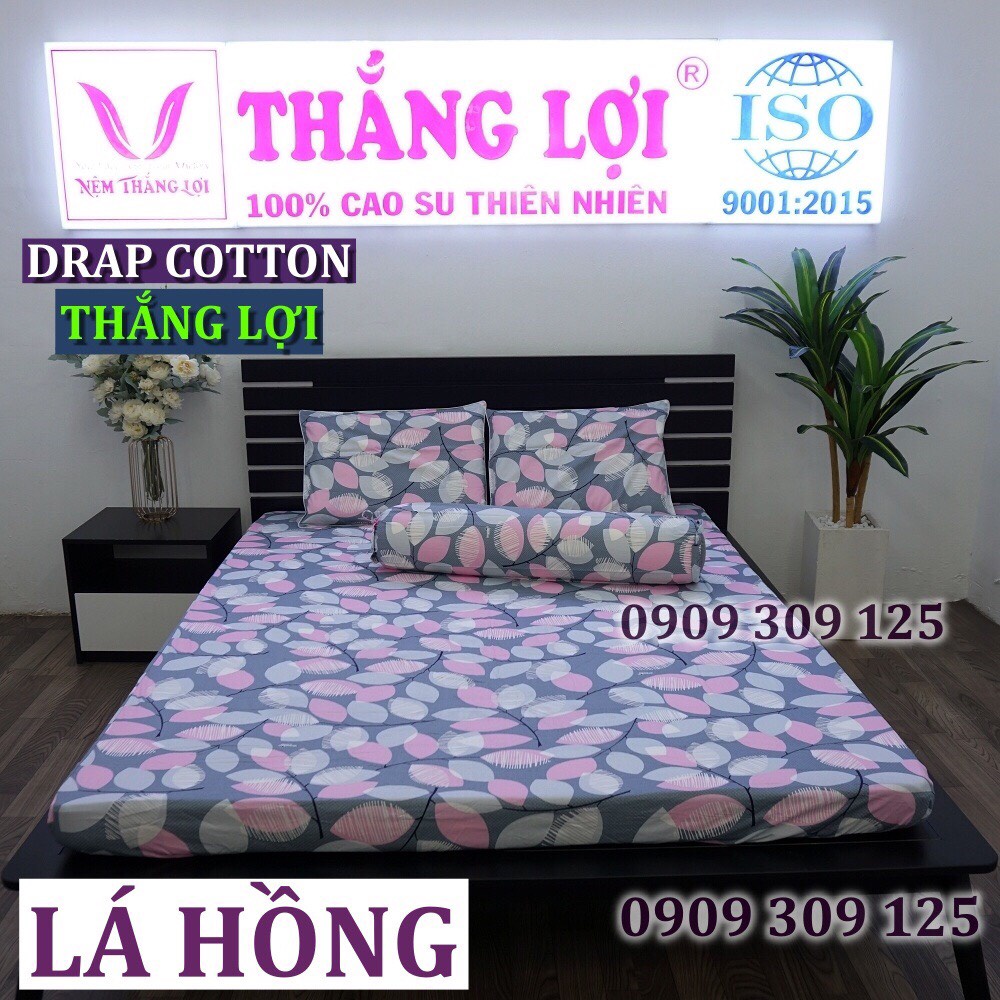 (ga giường 5 món) Bộ Drap + CHĂN MỀN Thắng Lợi cao cấp cotton 100% chuẩn LOGO