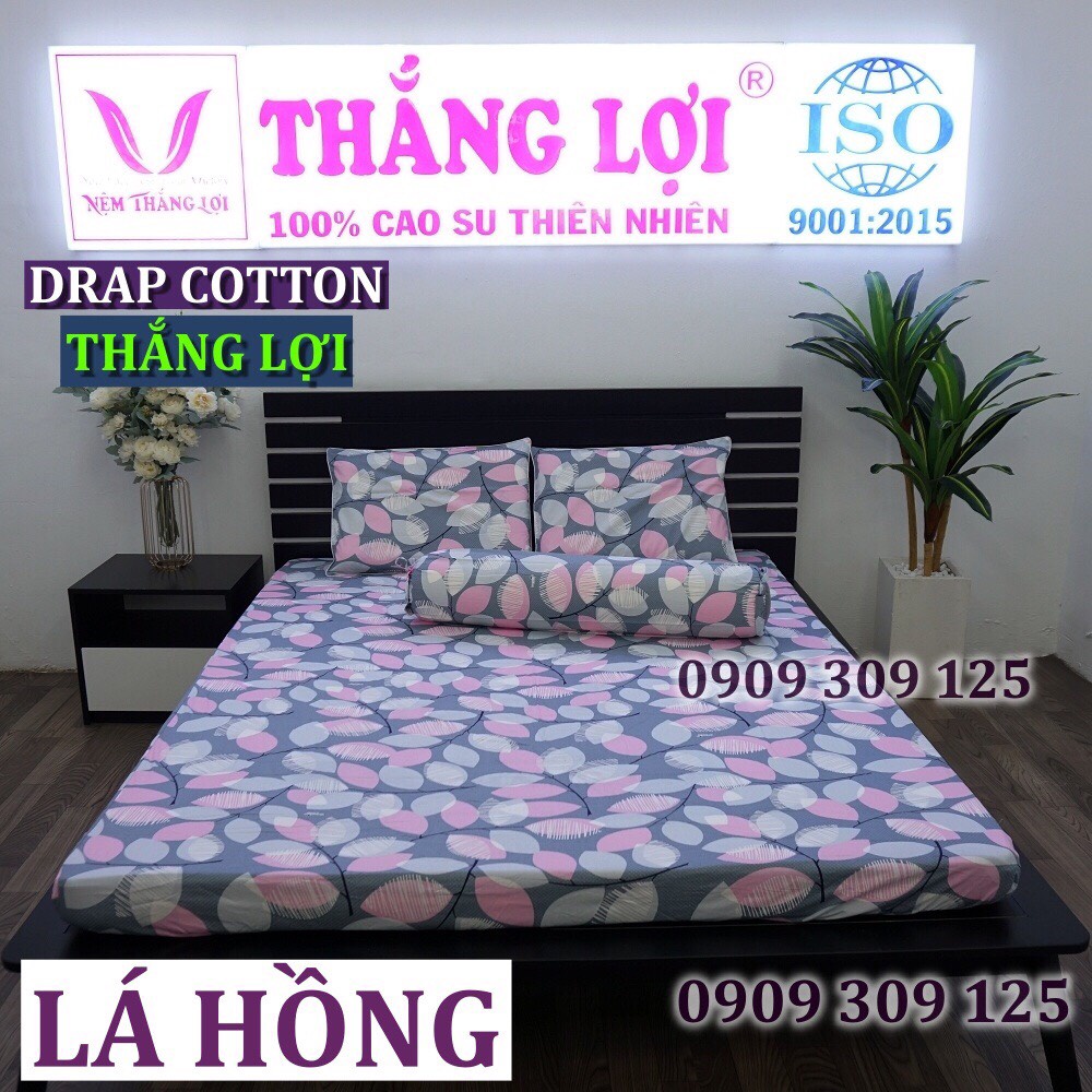 (5 món) Bộ Drap + Mền Thắng Lợi cao cấp cotton 100% chuẩn LOGO | BigBuy360 - bigbuy360.vn