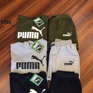 Bộ nỉ da cá Puma