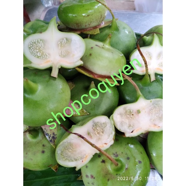 Trái bần non tươi làm thuốc 1 ký