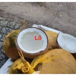 2 quả dừa sáp