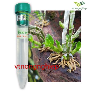 Kích kie Duy Xanh ( Keiki Duy spray), đánh thức mắt ngủ của Hoa Lan hiệu quả.