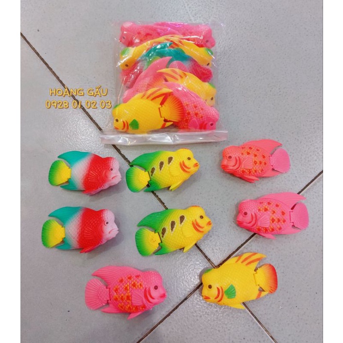 CÁ NHỰA KÈ LA HÁN