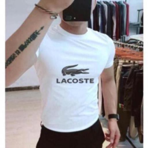 [ÁO THUN IN  ] - [GIẢM SẬP SÀN] [FLASH SALE] Áo thun cá sấu Lacoste hàng hiệu 2020