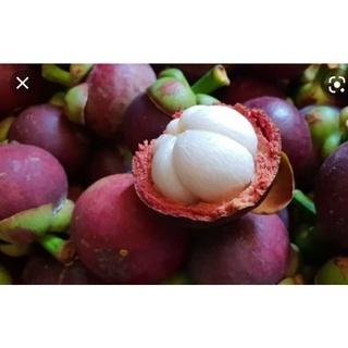 Măng cụt 1kg=40k, mangoteen fruit