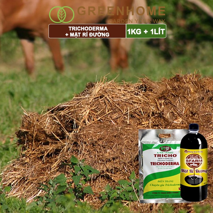 Combo Nấm đối kháng Trichoderma 1kg, mật rỉ đường Sfarm 1kg, ủ phân bón, ủ đậu nành, ủ rác thải nhà bếp | Greenhome