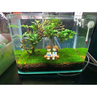 Tượng cặp đôi mini trang trí bể thủy sinh, bán cạn ( Giao ngẫu nhiên )