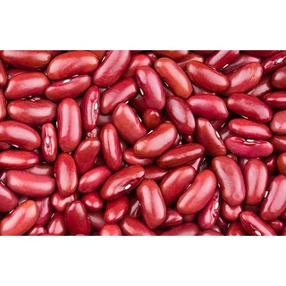 Hạt đậu đỏ quê size to loại 1 - Bee Nuts