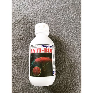 NuPhar AntiBio - Dung Dịch Xử Lý Nấm Trắng, Túm Lắc Guppy, Mục Đuôi Cho Các Loại Cá Cảnh