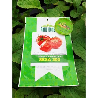 gói 3 Hạt Giống Cà Chua Beef Lai F1 SeSA 303 Rạng Đông, Sinh TRưởng Vô Hạn, Kháng Bệnh Tốt, Trái 150-180g