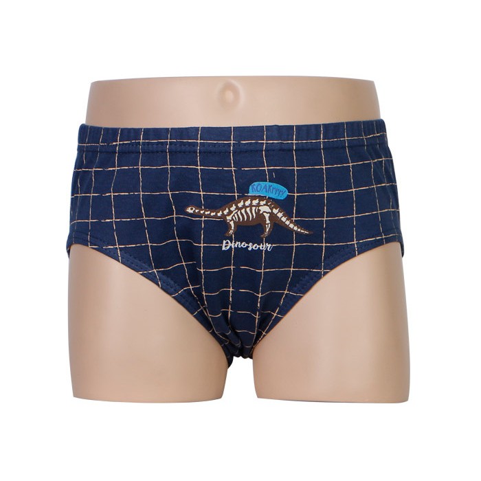 Hộp 5 quần lót bé trai Hàn Quốc 100% cotton mẫu Máy Bay-Khủng Long