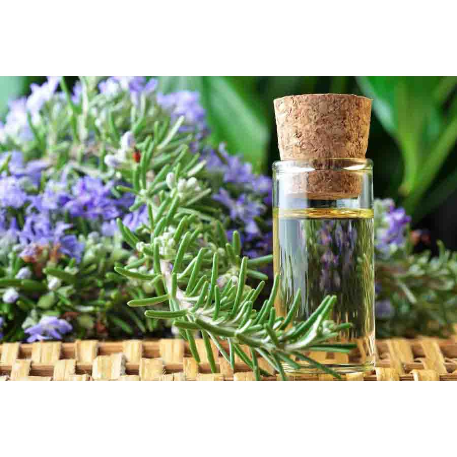 Tinh dầu hương thảo nguyên chất ( Rosemary Essential Oil ) GUTY