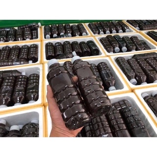 CỐT SÂM TÁI TẠO DA HANDMADE