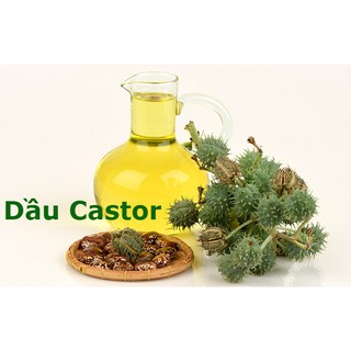 Dầu Castor( lọ 100ml)