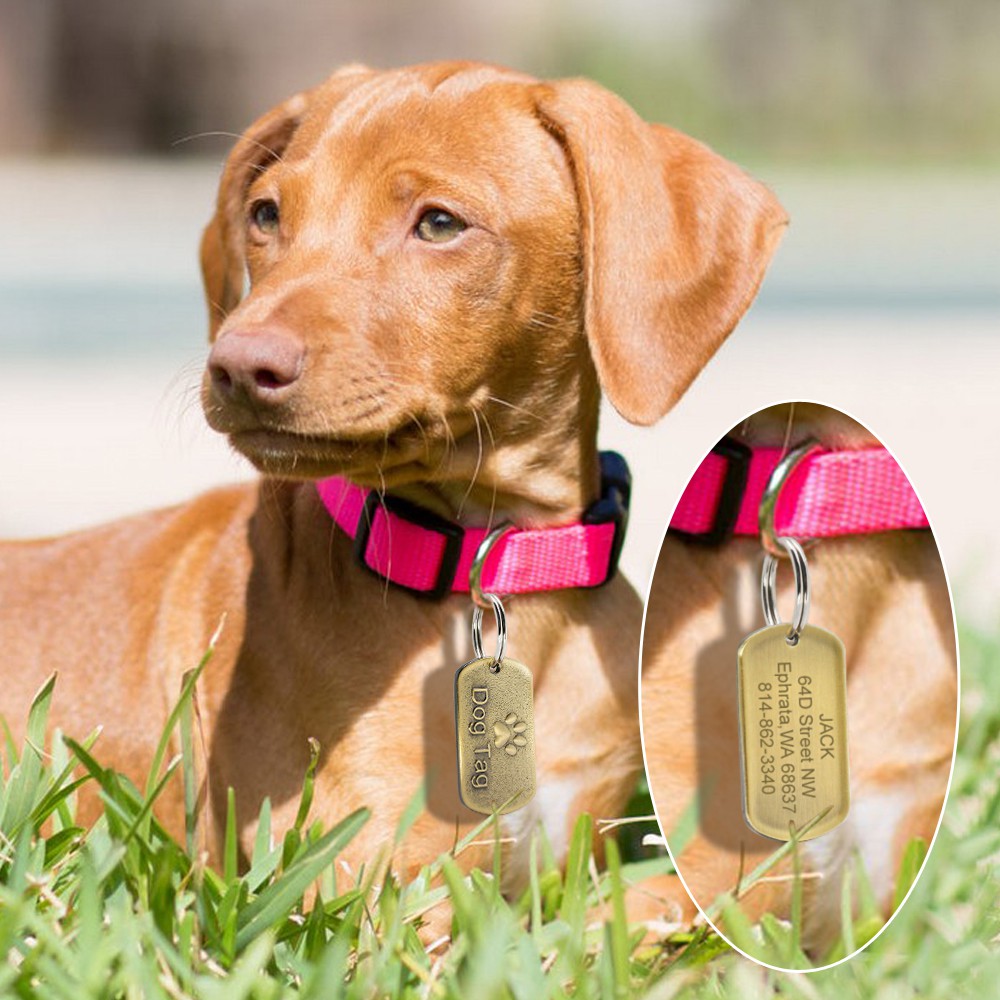 【RIZER】Thẻ Tên Khắc Chữ Bằng Thép Không Gỉ Cho Thú Cưng