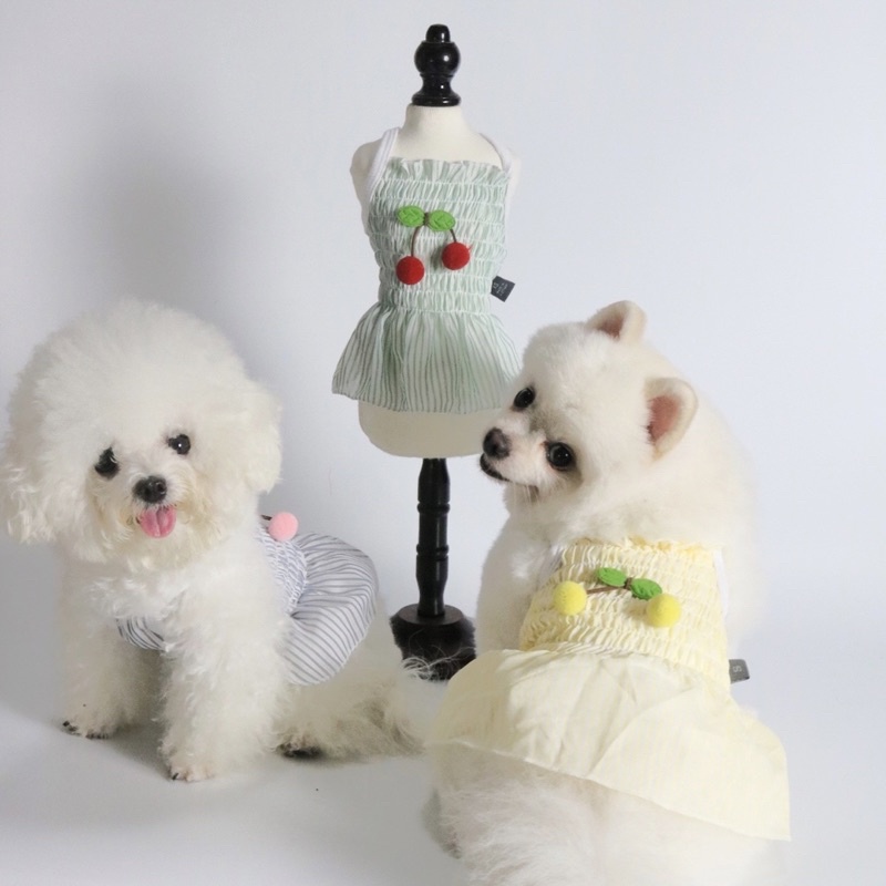 Đầm nhúng basic cho boss